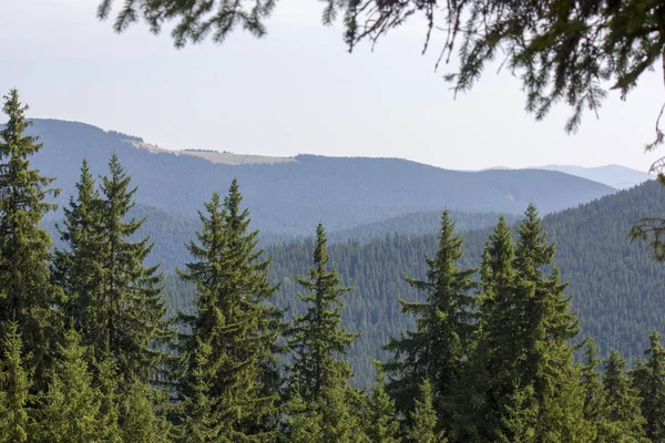 Güzel dağların görkemli manzarası. Rahatlatıcı seyahat arka plan. Turistik rotalar. Karpatlar. Ukrayna. Avrupa.