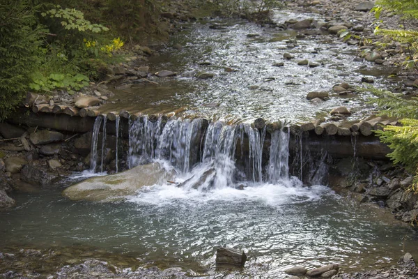 Horská řeka v létě s malými vodopády. Krásná letní krajina Karpat. — Stock fotografie