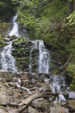 Küçük şelaleler ile yaz aylarında dağ nehri. Karpatların güzel yaz manzarası.