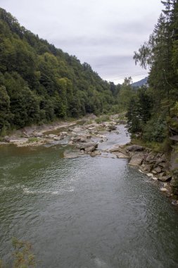 Küçük şelaleler ile yaz aylarında dağ nehri. Karpatların güzel yaz manzarası.