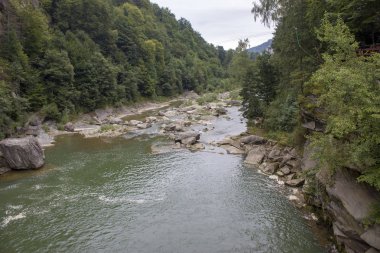 Küçük şelaleler ile yaz aylarında dağ nehri. Karpatların güzel yaz manzarası.