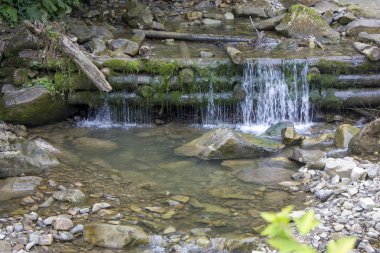 Küçük şelaleler ile yaz aylarında dağ nehri. Karpatların güzel yaz manzarası.