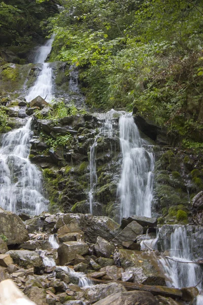 Horská řeka v létě s malými vodopády. Krásná letní krajina Karpat. — Stock fotografie