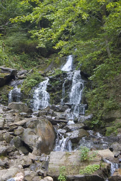 Rio da montanha no verão com pequenas cachoeiras. Bela paisagem de verão dos Cárpatos . — Fotografia de Stock