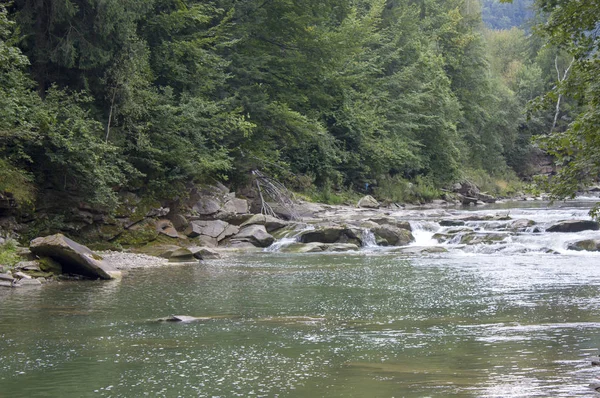 Küçük şelaleler ile yaz aylarında dağ nehri. Karpatların güzel yaz manzarası.