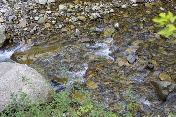 Hegyi folyó a nyár kis vízesések. Gyönyörű nyári táj a Kárpátokban. — Stock Fotó