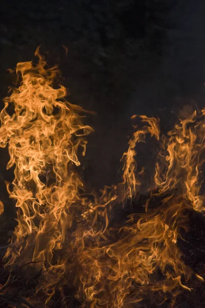 Soyut ateş alevi, afiş arka planı için ateş alevi dokusu, yanan ateşin kavramsal görüntüsü, siyah arka plan üzerinde mükemmel ateş parçacıkları. Close.