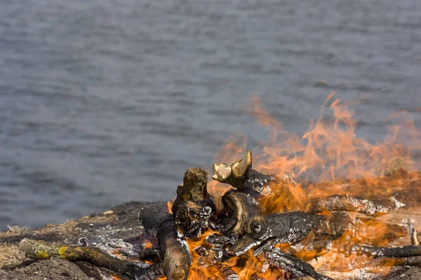 Un grand feu de joie avec des étincelles de feu sur les rives de la rivière. De l'herbe brûlée près du feu. Gros plan . — Photo