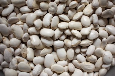 Kurumuş beyaz fasulye demetinin yakın dokusu.