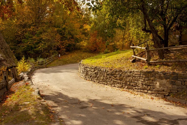 Beau paysage d'automne. Gradient automnal de fleurs. Feuillage coloré sur les arbres . — Photo