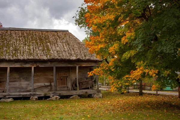 Old rural wooden house with thatched roof. Fall season. Close-up. — Stock Photo, Image
