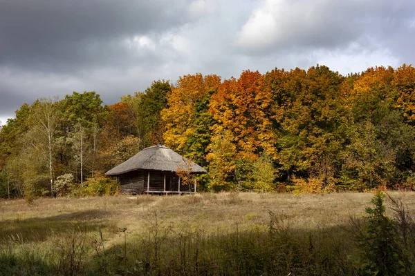 Fundo colorido, paisagem com outono folhas coloridas nas árvores . — Fotografia de Stock