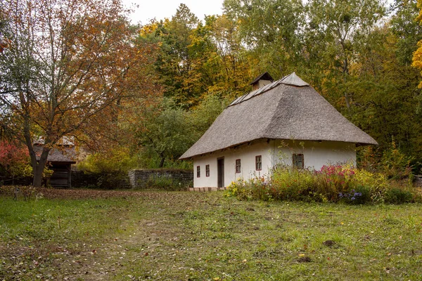Casa de madeira rural velha com telhado colmado. Temporada de Outono. Close-up . — Fotografia de Stock