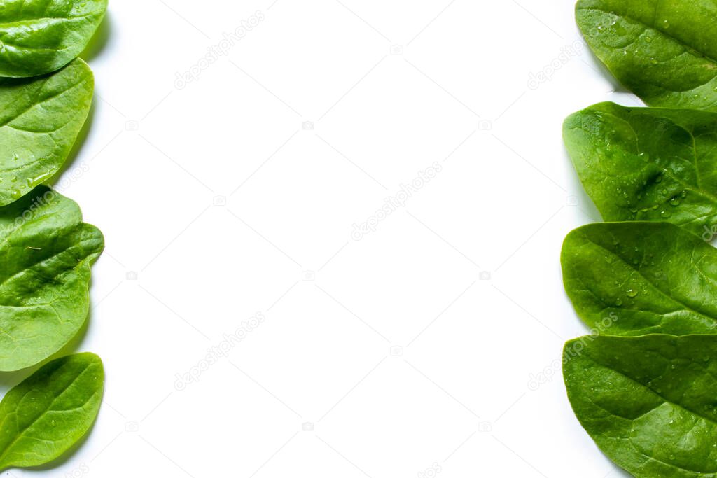 Fresh green spinach leaves isolated on white background, top view. Organic food