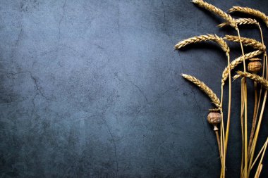 Koyu bir zemin üzerinde haşhaş tohumları olan buğday başakları üst görünüm ve metin için yer.