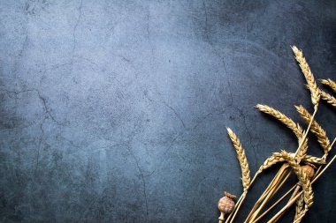 Esmer arka planda haşhaş tohumlu buğday başakları