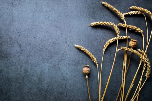 Esmer arka planda haşhaş tohumlu buğday başakları