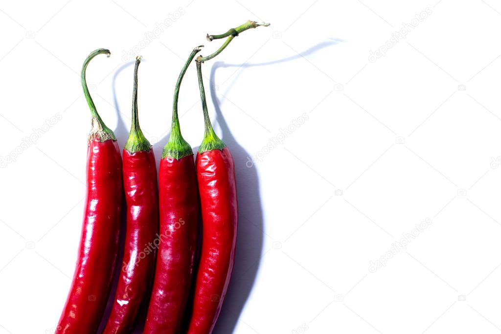 Four fresh red juicy chili peppers in a cut on round rings isolated on white