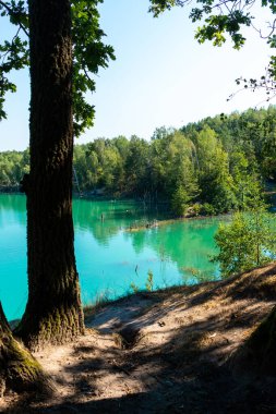 Ağaçlarla çevrili turkuaz suyu olan eski bir taş ocağının yanında bir orman gölü. Doğal manzara..