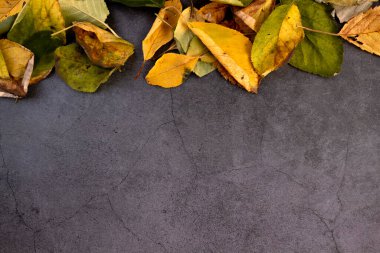 Koyu beton zeminde sonbahar yaprakları, metin yeri, Üst Manzara. Sonbahar konsepti.