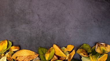 Koyu beton zeminde sonbahar yaprakları, metin yeri, Üst Manzara. Sonbahar konsepti.