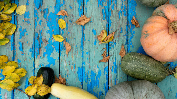 Flat composition with bright colorful autumn leaves and pumpkin on old blue shabby wooden background. Natural frame. Top view, copy space. Natural autumn background