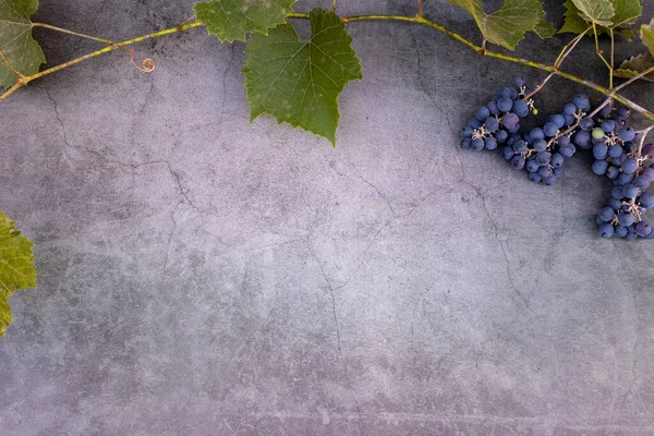 Uvas para fazer vinho tinto. Contexto com uvas frescas e folhas. Espaço para cópia. Vista de cima. — Fotografia de Stock