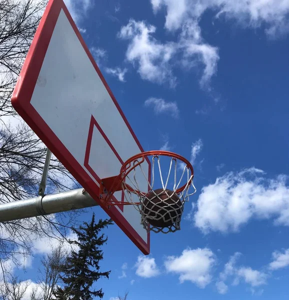 Basketbol Homo Antrenmanda Oyun Sırasında Net Üzerinden — Stok fotoğraf