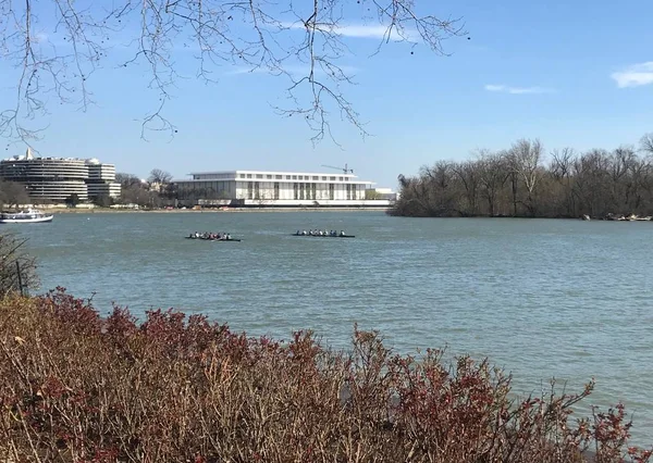 Crew teams practice on the Potomac River, with the Kennedy Center in the background
