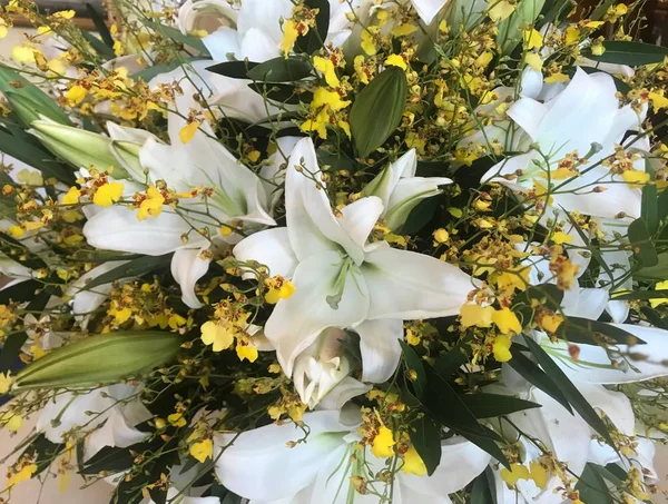 Kwiatowy Układ Białymi Lilie — Zdjęcie stockowe