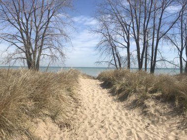 Sıcak bir bahar gününde Michigan Gölü kıyısındaki plaja giden bir yol