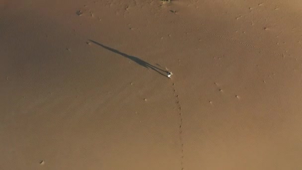 Vista aérea 4K da menina andando por dunas de areia em uma natureza desértica, Califórnia — Vídeo de Stock