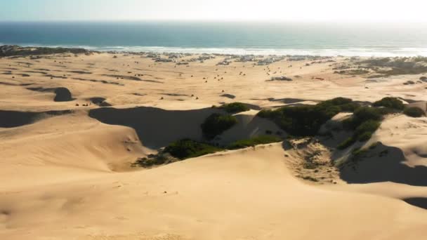 Vista aérea del dron 4K volando por hermosas dunas de arena ondulada en luz dorada del atardecer — Vídeo de stock
