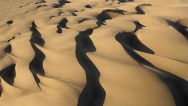 Vista aérea del dron 4K volando por hermosas dunas de arena ondulada en luz dorada del atardecer — Vídeos de Stock