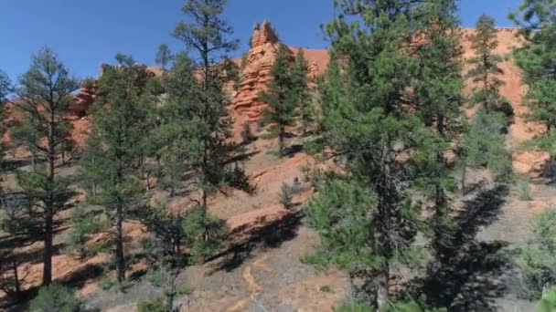 Aérien 4K de belles formations rocheuses rouges à l'entrée du parc Bryce Canyon États-Unis — Video