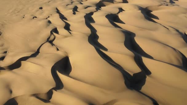4K hava aracı görüntüsü altın gün batımında dalgalı kum tepelerinin üzerinde uçuyor. — Stok video