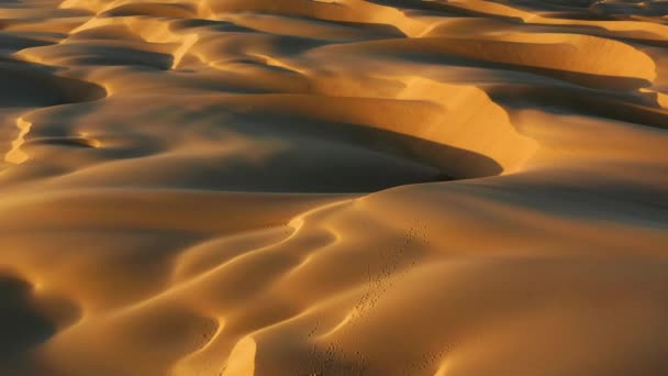 4K-Drohnenbild, das durch wunderschöne wellige Sanddünen in goldenem Sonnenuntergang fliegt — Stockvideo