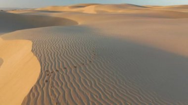 Güneş ışığı altında güzel dalgalı kum tepeleri, 4K hava manzaralı insansız hava aracı.