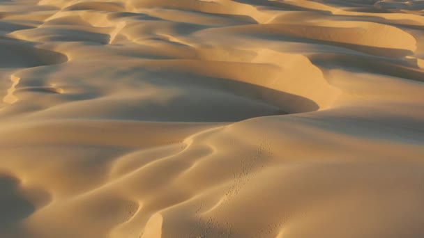 4K hava aracı görüntüsü altın gün batımında dalgalı kum tepelerinin üzerinde uçuyor. — Stok video