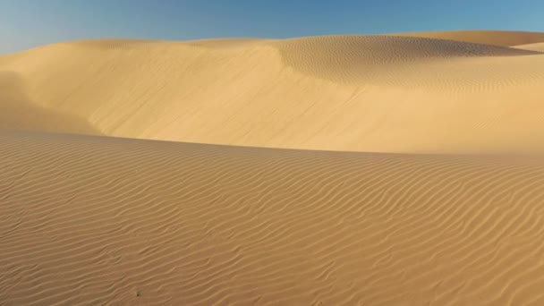 Dramáticas dunas de arena ondulada en suave luz del amanecer, vuelo de drones con vista aérea 4K — Vídeo de stock