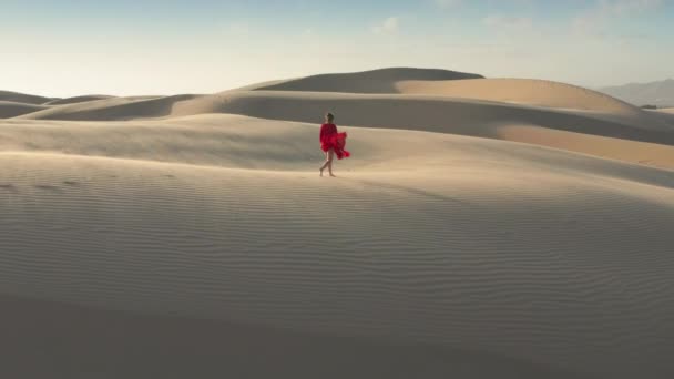 4K 공중에서 본 사막의 모래 언덕 꼭대기를 걷고 있는 한 여자 — 비디오