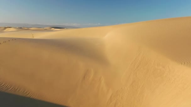 穏やかな日の出の光で魔法の波状砂丘、 4K空中ビュードローン飛行 — ストック動画