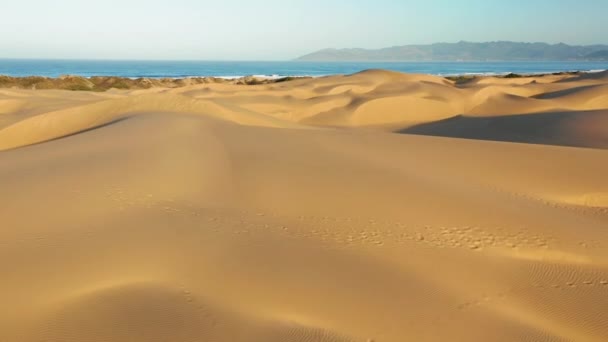 Drönare reser sig över vackra massiva gyllene sanddyner vid soluppgången. Flygbilder från 4K — Stockvideo