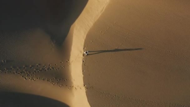 4K aerial view of a woman walking by sand dunes in the desert nature, at sunrise — Stock Video
