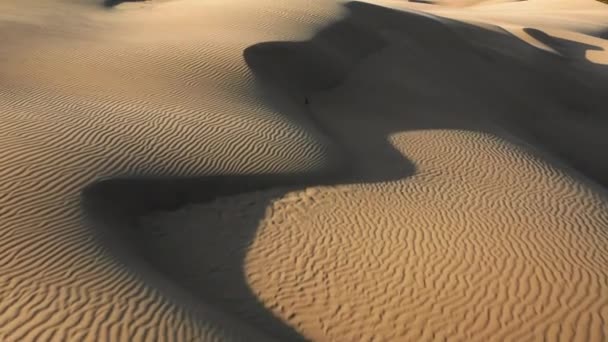 4K vue aérienne de drone volant par de belles dunes de sable ondulées dans la lumière dorée du coucher du soleil — Video