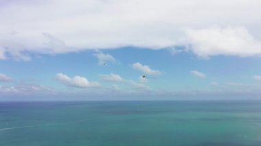 4K 'lık uçurtmalar mavi okyanusun üzerinde süzülüyor. Florida yaz doğası.