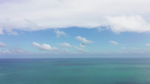 Aérien 4K des cerfs-volants s'élevant au-dessus de l'océan bleu. Nature estivale de la Floride — Video