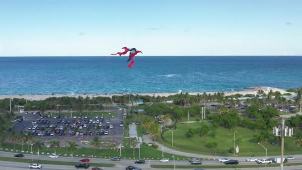 Καλοκαιρινή φύση της Φλόριντα. 4K κεραία των χαρταετών που πετούν πάνω από τον γαλάζιο ωκεανό — Αρχείο Βίντεο