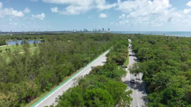 4k vue aérienne de la route du parc passe à travers la nature tropicale somptueuse — Video