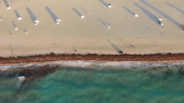 4K flygdrönare vy flyger längs den vackra stranden vid soluppgången. Vild natur — Stockvideo